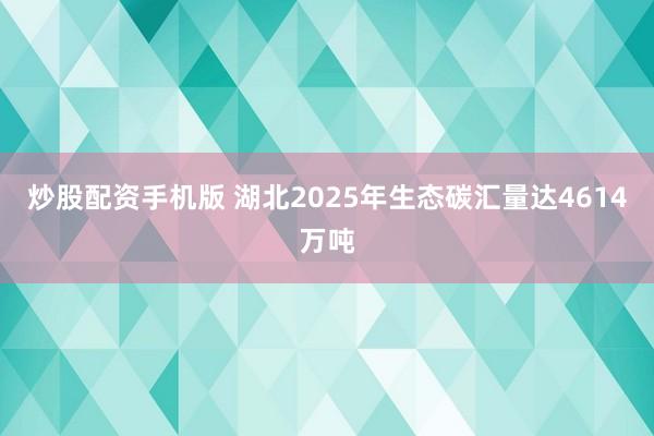 炒股配资手机版 湖北2025年生态碳汇量达4614万吨