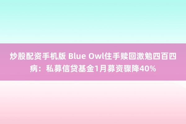 炒股配资手机版 Blue Owl住手赎回激勉四百四病：私募信贷基金1月募资骤降40%