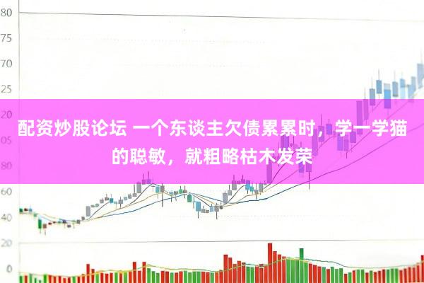 配资炒股论坛 一个东谈主欠债累累时，学一学猫的聪敏，就粗略枯木发荣